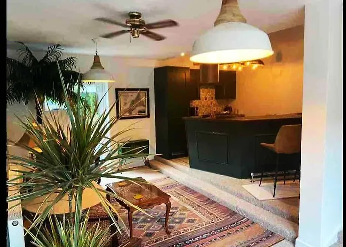 Palm View Luxury Botanical Themed Apartment With Sauna