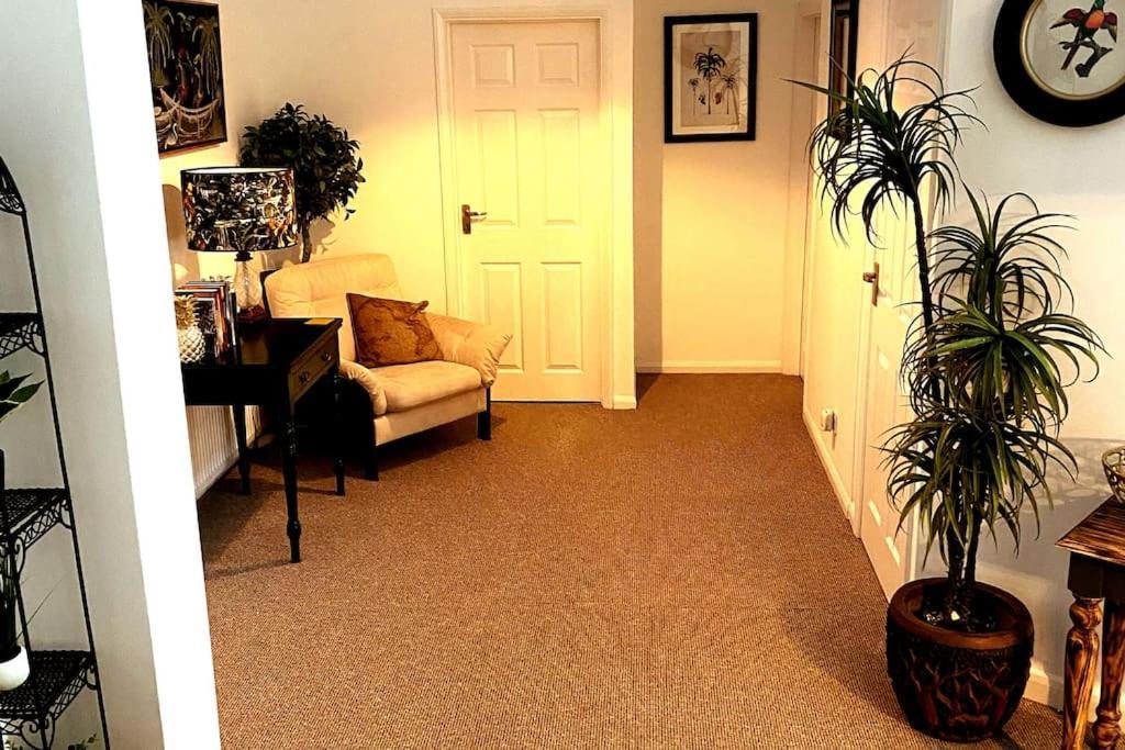 Apartment Palm View Luxury Botanical Themed With Sauna