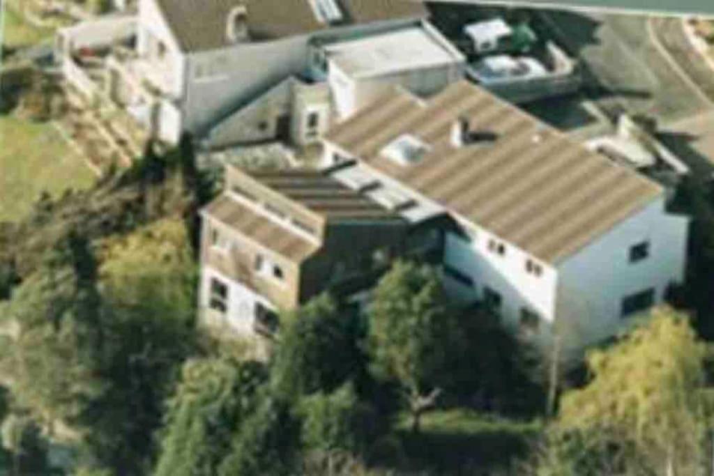 Palm View Luxury Botanical Themed With Sauna St Austell